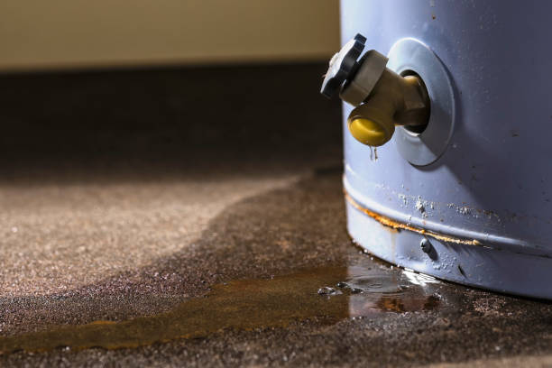 Best 24-hour water damage restoration  in Beaver Dam, WI