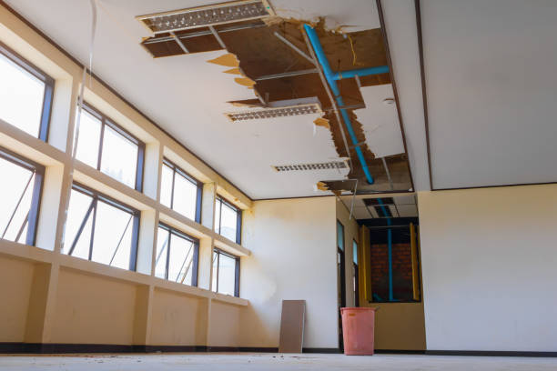 Best Fire Damage Restoration  in Beaver Dam, WI