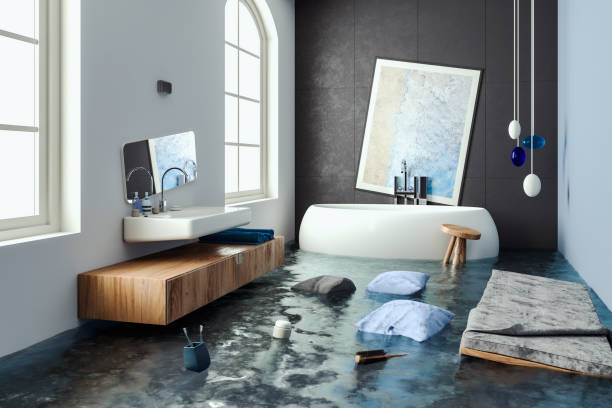 Best Carpet water damage restoration  in Beaver Dam, WI