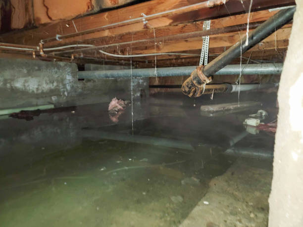 Best Water damage restoration mold remediation  in Beaver Dam, WI