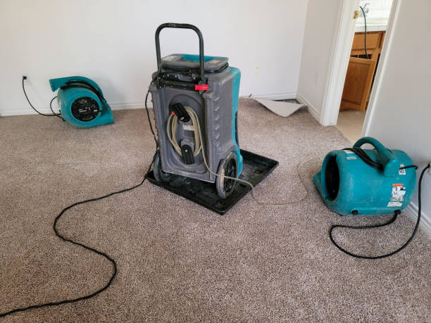 Best Professional water damage repair  in Beaver Dam, WI