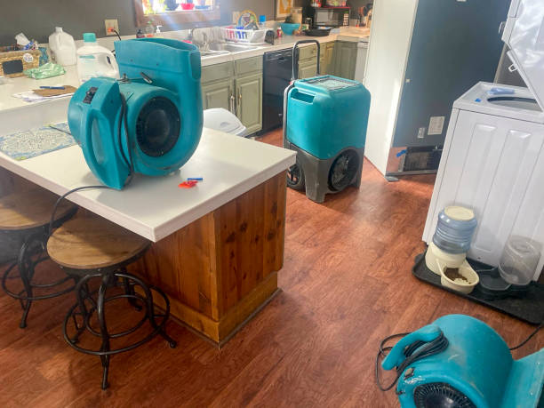 Best Flooded house restoration  in Beaver Dam, WI