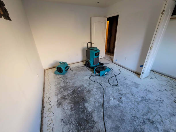  Beaver Dam, WI Water damage restoration Pros