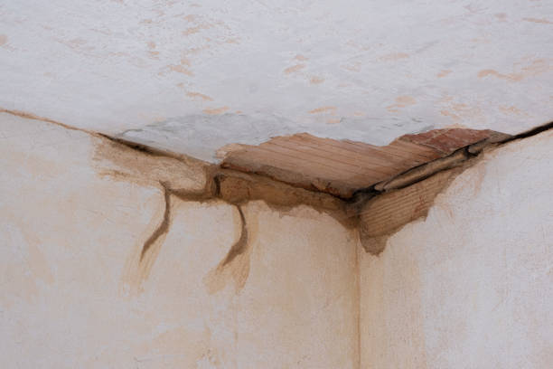 Best Basement water damage restoration  in Beaver Dam, WI