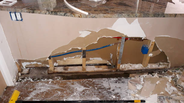 Best Ceiling water damage repair  in Beaver Dam, WI