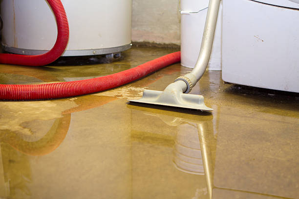 Best Flood damage cleanup  in Beaver Dam, WI