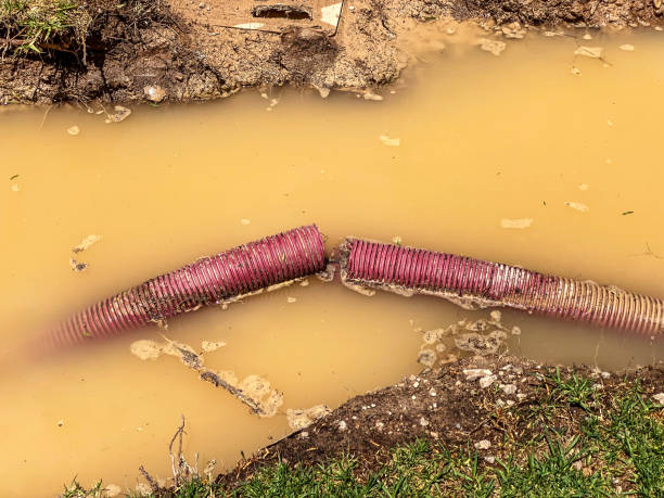 Best Professional water damage repair  in Beaver Dam, WI