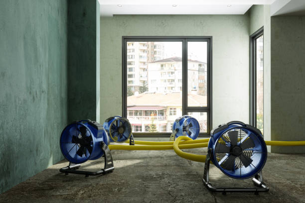 Best Sewage cleanup and water damage restoration  in Beaver Dam, WI